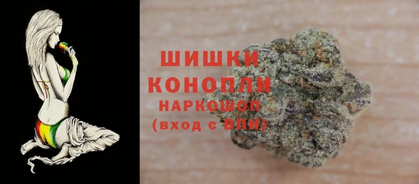 гашик Каменногорск