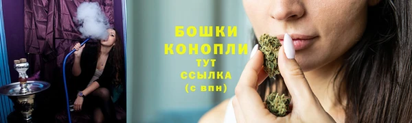 гашик Каменногорск