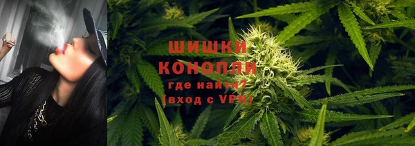 гашик Каменногорск