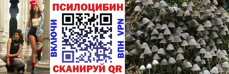 Купить закладки  Усть-Катав  Псилоцибиновые грибы прущие грибы 